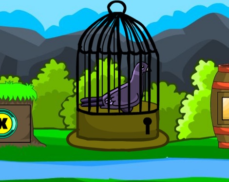 Help The Grey Pigeon Escape