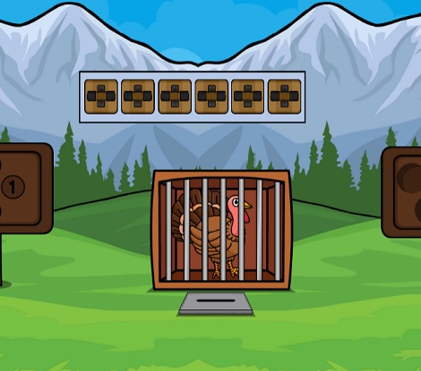 Release The Turkey From Cage