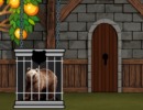 Save The Grizzly Bear