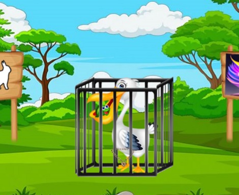 Caged Stork Challenge