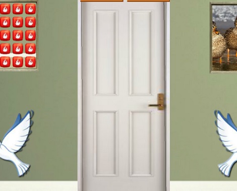 Find Seagull Bird