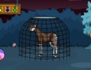 Okapi Escape