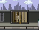 Purebred Border Collie Escape