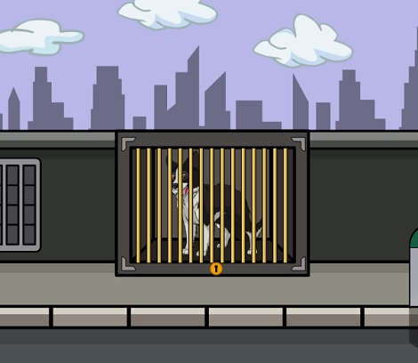Purebred Border Collie Escape