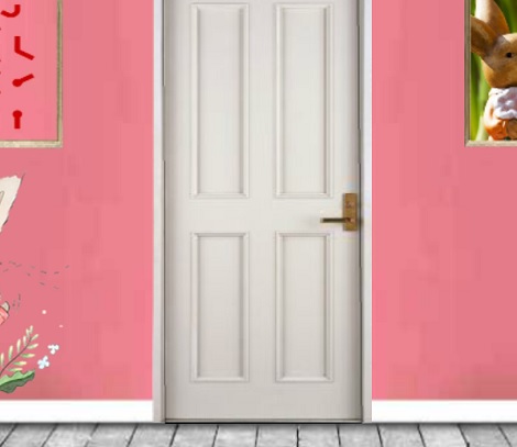 Find Rabbit Fluffy