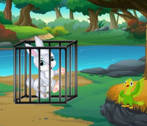 Fur Freedom Quest