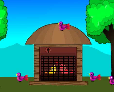Love Birds Rescue