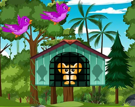 Treetop Escape