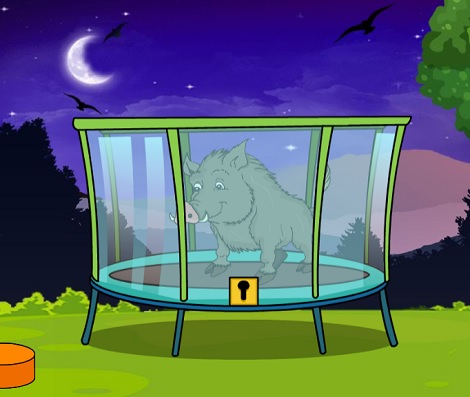 Release The Wild Boar From Cage