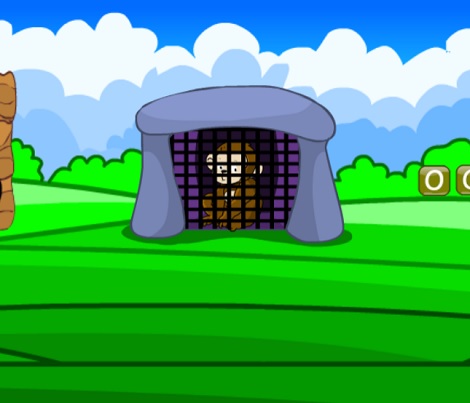 Caged Baboon Rescue