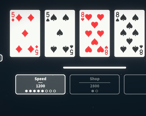 ENDLESS POKER