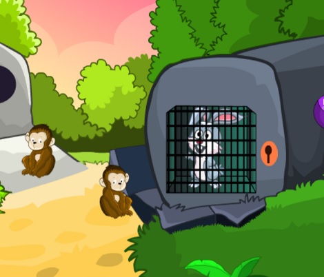 Funny Rabbit Rescue