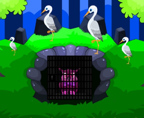 Purple Owl Rescue
