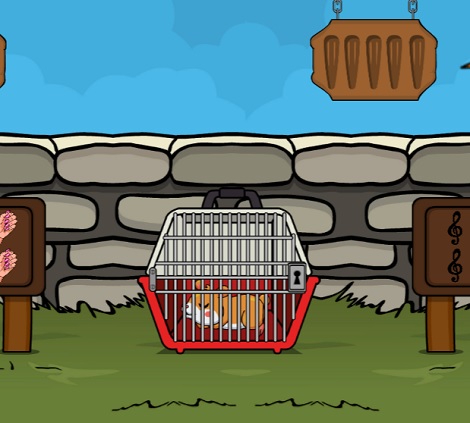 Release The Hamster