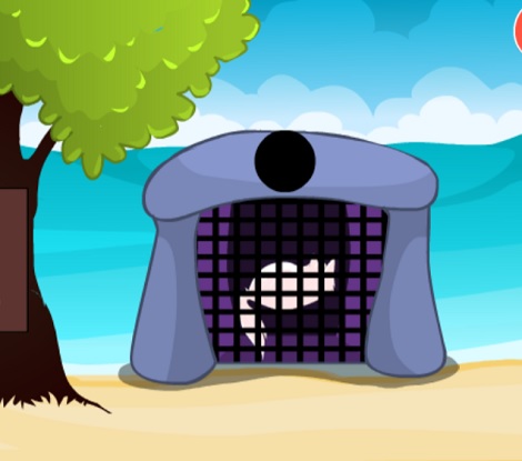 Sea Cat Rescue