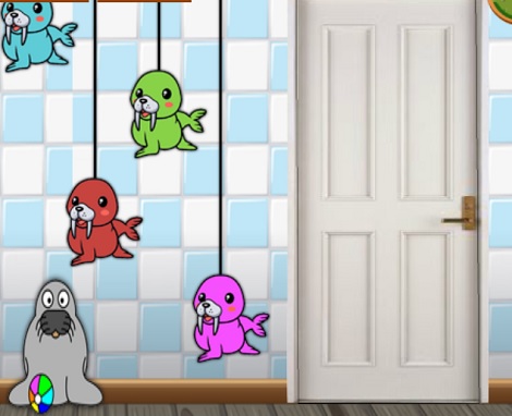 Find Pet Walrus