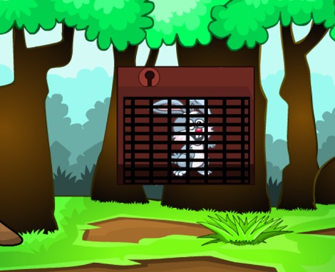 Hungry Rabbit Rescue