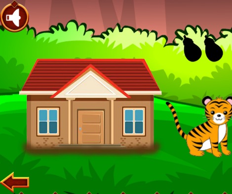Pet Cat Rescue