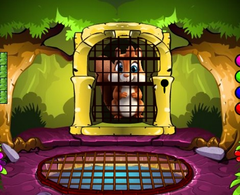 Freedom For The Squirrel