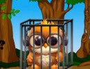 Songbird Escape
