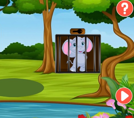 Trapped Trunk Trouble
