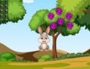 Feed The Bunny