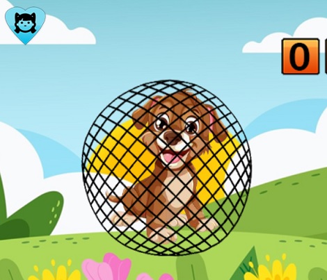 Netbound Pup Rescue