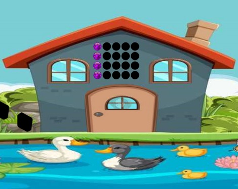 Duck House Escape