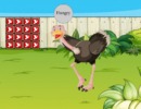 Escape To Emu Chow