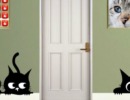 Find Cat Orion With Gift