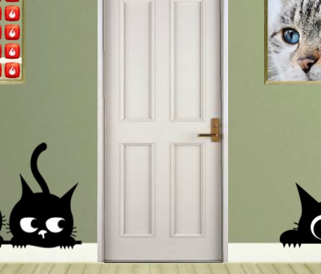 Find Cat Orion With Gift