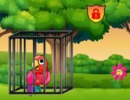 脱出ゲーム Parrot Cage Break