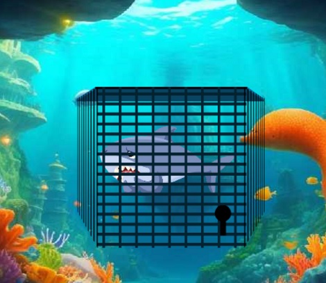 Escape The Shark Cage