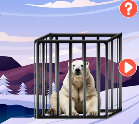 Icy Bear Escape
