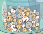 同じ猫を吸収して大きくしていくゲーム 猫蟲毒 ～にゃんこどく～