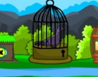 脱出ゲーム Help The Grey Pigeon Escape