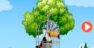 Flight To Freedom