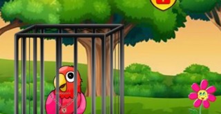 Parrot Cage Break