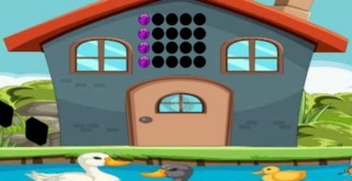 Duck House Escape
