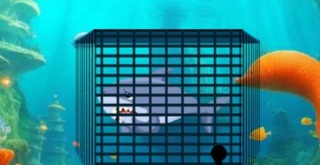 Escape The Shark Cage